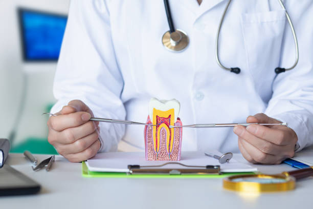 Best Urgent Tooth Repair  in Elkins Rk, PA